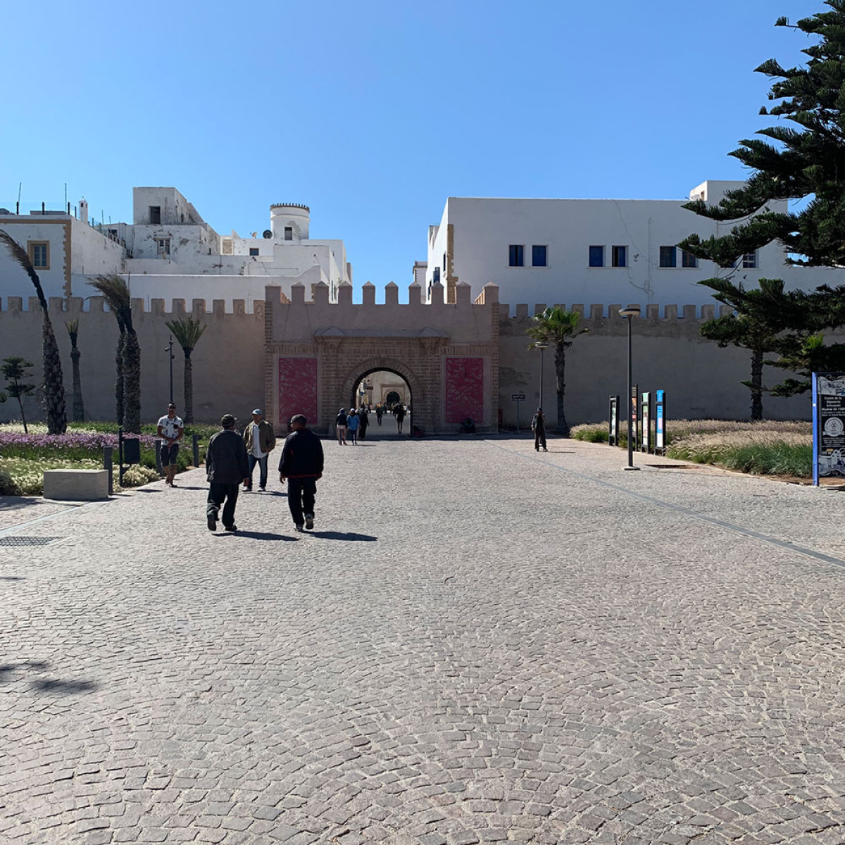 Bezoek de locals van Essaouira